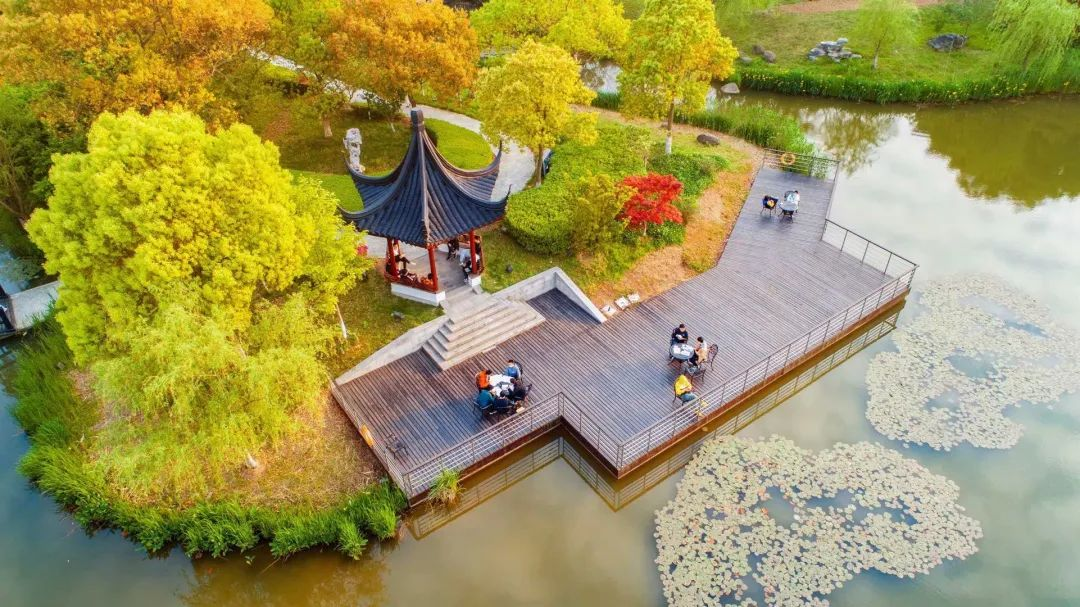 江苏省木渎高级中学“培东实验项目”2025年招生简章